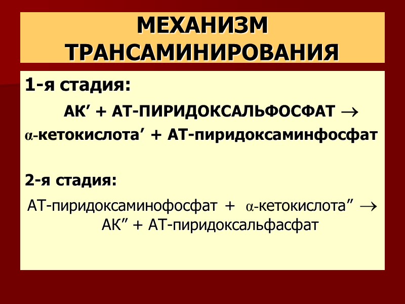 МЕХАНИЗМ ТРАНСАМИНИРОВАНИЯ 1-я стадия:         АК’ +